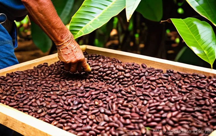 초콜릿 공장 투어 - **Prompt 1: From Cacao Pod to Portuguese Delight**
"A captivating, high-resolution photograph ca...